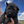 Load image into Gallery viewer, 1st Pick Male
