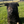Load image into Gallery viewer, 1st Pick Male
