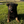 Load image into Gallery viewer, 1st Pick Male
