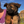 Load image into Gallery viewer, 1st Pick Female
