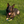 Load image into Gallery viewer, Thor Vom Haus BVR
